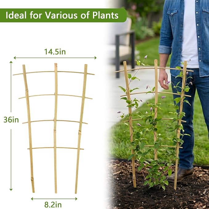 Avalution 10 Pack Bamboo Trellis for Climbing Plants, 3 FT Garden Ladder Trellis for Potted Plants Indoor, Fan-Shaped Small Plant Support Trellis for Houseplants Ivy Hoya Vine Monstera