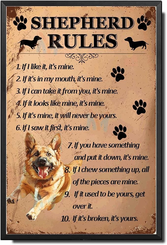 Metal Sign Tin Sign Vintage Wall Art Shepherd Rules Funny Outdoor Decor for Room 6×8 Inches with Metal Frame