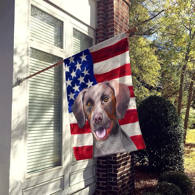 Caroline's Treasures CK6649CHF Pointer Dog American Flag House Flag Large Porch Sleeve Pole Decorative Outside Yard Banner Artwork Wall Hanging, Polyester, House Size, Multicolor
