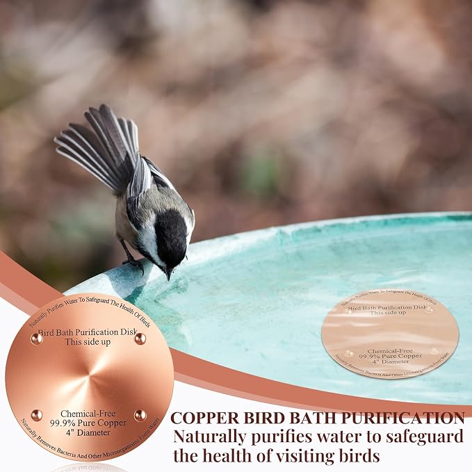 MorningRo 2 Pcs 4'' Bird Bath Copper Disk, 0.6mm Thick Reinforced 99.99% Pure Copper Disc birdbath Purification Disc, with 4 Point Support for Outdoor Birdbaths Bowls Cleaner (Classic)