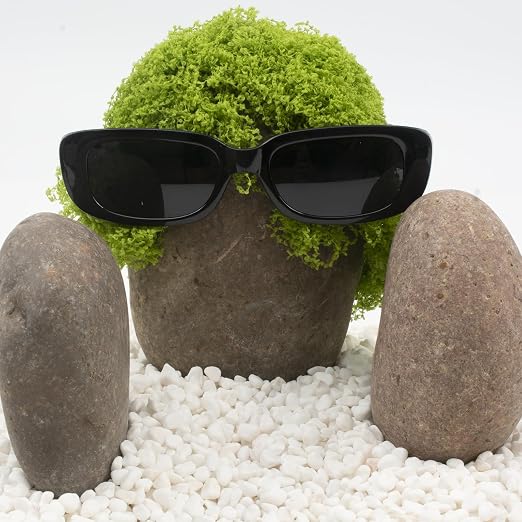 40 LBS Natural Large River Stones – 4-7 Inch Pebbles for Water Features, Aquascaping, and Garden Pathways. Ideal for Enhancing Outdoor Landscaping and Creating Beautiful Natural Designs