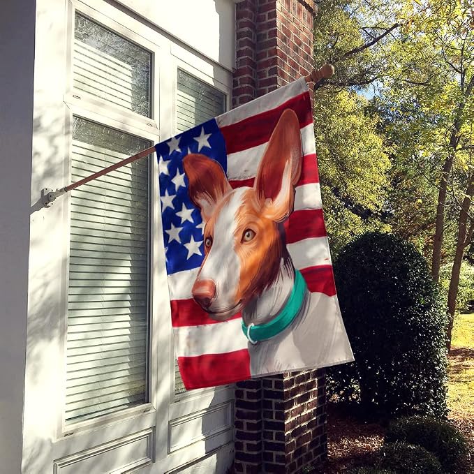 Caroline's Treasures CK6565CHF Ibizan Hound Dog American Flag House Flag Large Porch Sleeve Pole Decorative Outside Yard Banner Artwork Wall Hanging, Polyester, House Size, Multicolor