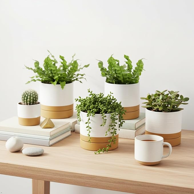 HASENSE Small Plant Pots, 4.6 Inch Ceramic Flower Pots with Two-Tone Glaze Design, Indoor Outdoor Planter with Drainage Hole and Saucer, Cute Tabletop Decor, 4 Pack, White-Brown