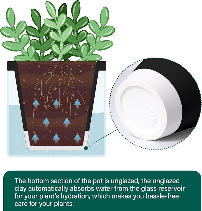 D'vine Dev 4 Inch Design Self Watering Planter for Indoor Plants, Black Terracotta Pot with Cylinder Glass Cup, Set of 4, 37-Z-A-3-F