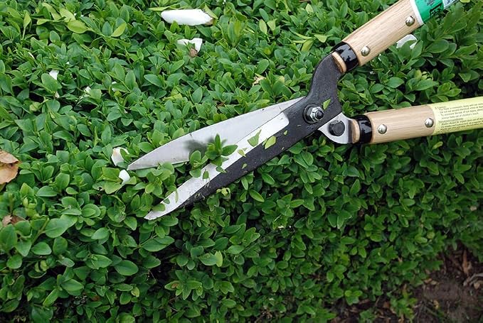 Okatsune Precision Hedge Shears 6" Blade, 20" total length