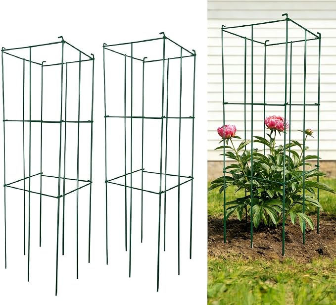 2 Pack 12x39 Inch High Green Folding Square Tomato Cages | Tall Plant Support, Tomato Trellis, Metal, Peony Cage Peony Support