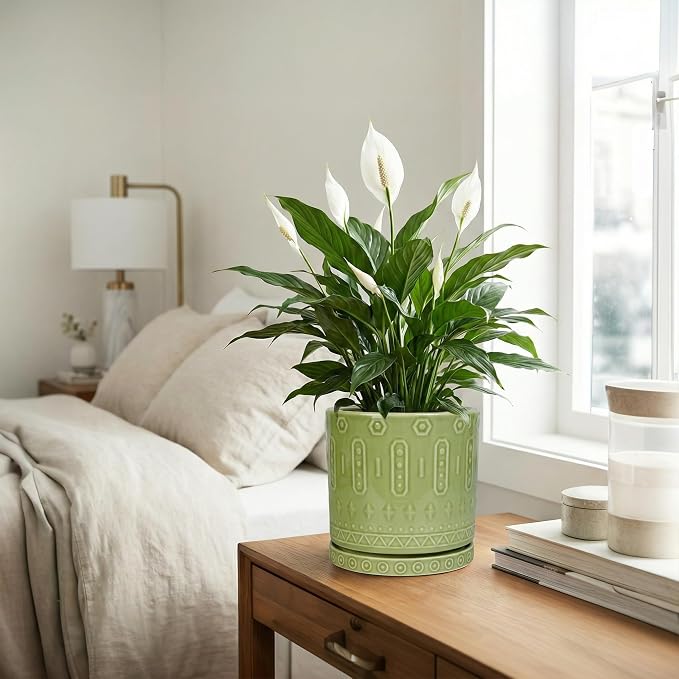 Eightpot Ceramic Pots for Plants, 8 Inch Plant Pot with Drainage Hole and Tray, Round Planters for Indoor Plants, Modern Flower Pot, Decorative Planter, Living Room Decor, Gardening Gifts, Green
