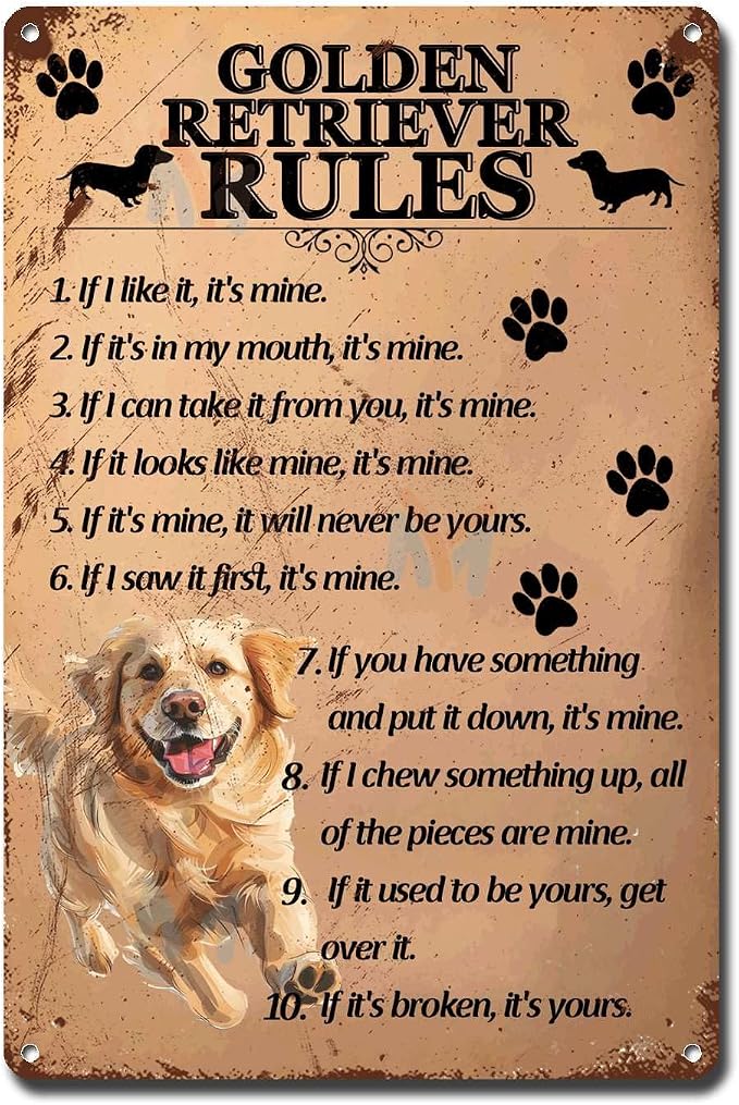 Metal Sign Tin Sign Vintage Wall Art Golden Retriever Rules Funny Outdoor Decor for Pub 8×12 Inches