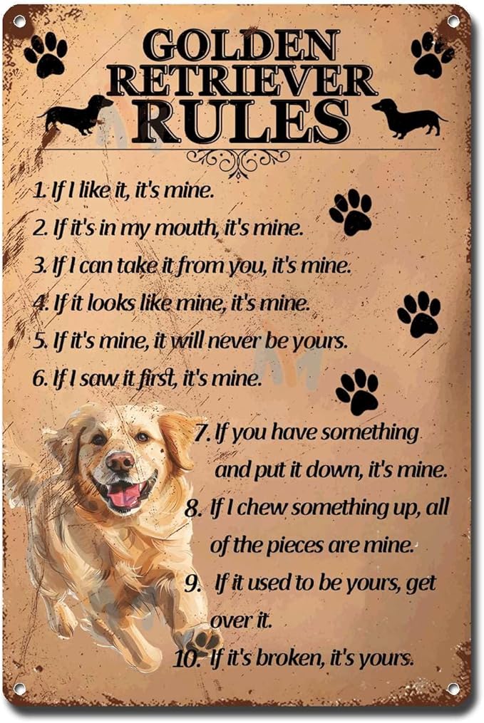 Metal Sign Tin Sign Vintage Wall Art Golden Retriever Rules Funny Bathroom Decor for Room 6×8 Inches