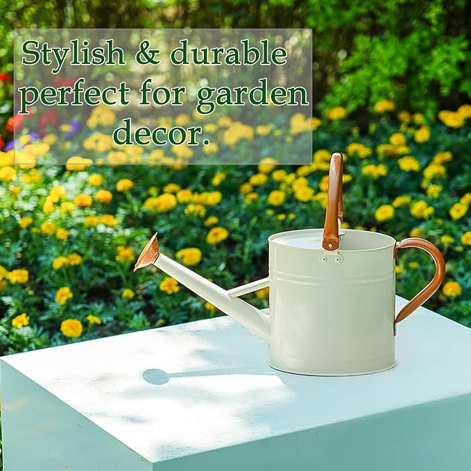 Metal Watering Can for Plants,Watering Cans for Outdoor&Indoor Gardening, Galvanized Steel Water Can with Removable Spout,Watering Pot with Ergonomic Movable Handle (Cream White)