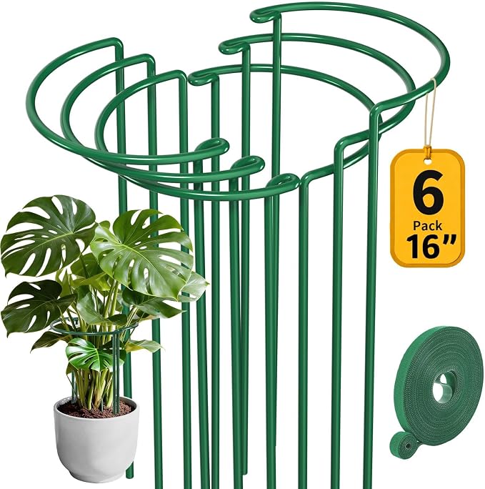 AMAGABELI 6 Pack 16 Inch Plant Support Stakes Peony Cage Heavy Duty Ring Metal Garden Support Structures Plant Cage with Ties for Indoor Flower Outdoor Tomato Hydrangea Monstera