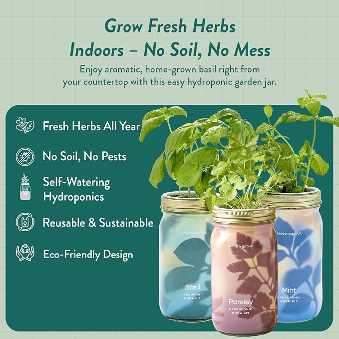 Modern Sprout Garden Jar Gift Pack - Self-Watering Hydroponics Growing System Kit with Organic Herb Seeds - Seed Starter Kit for Indoor Herb Garden - Home Decor & Gifting - Basil, Parsley & Mint