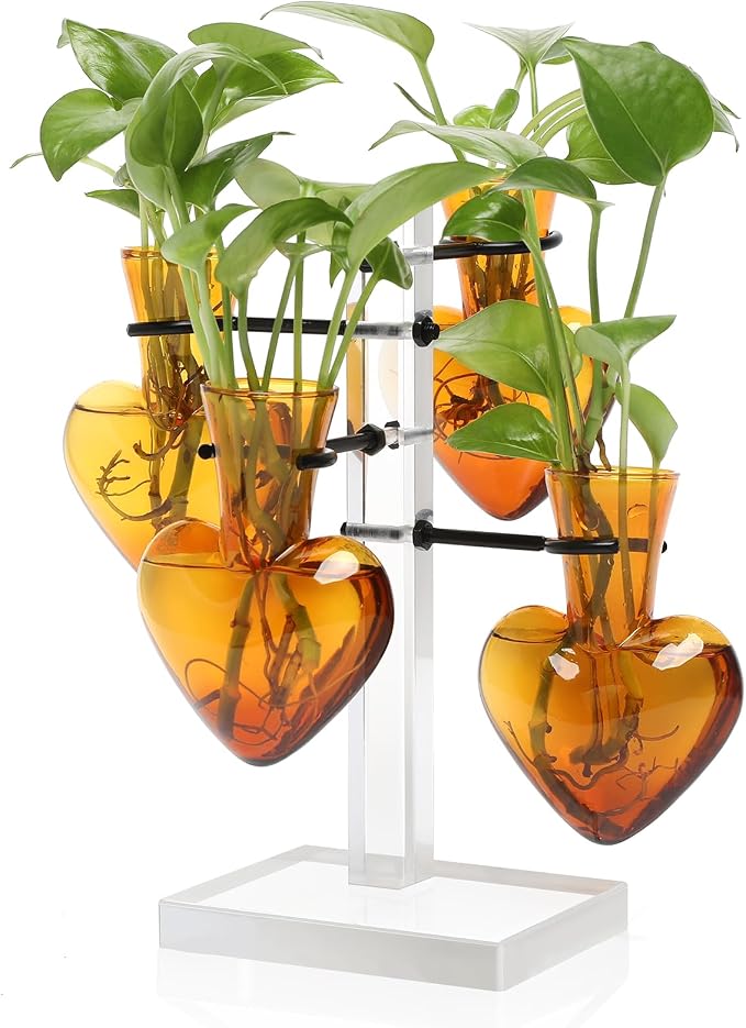 Plants Propagation Stations Plant Terrarium Kit Gift for Women | Birthday Glass Planters For Indoor Plants Home Office Decor Acrylic Plant Accessories - 4 Love Hear Vase