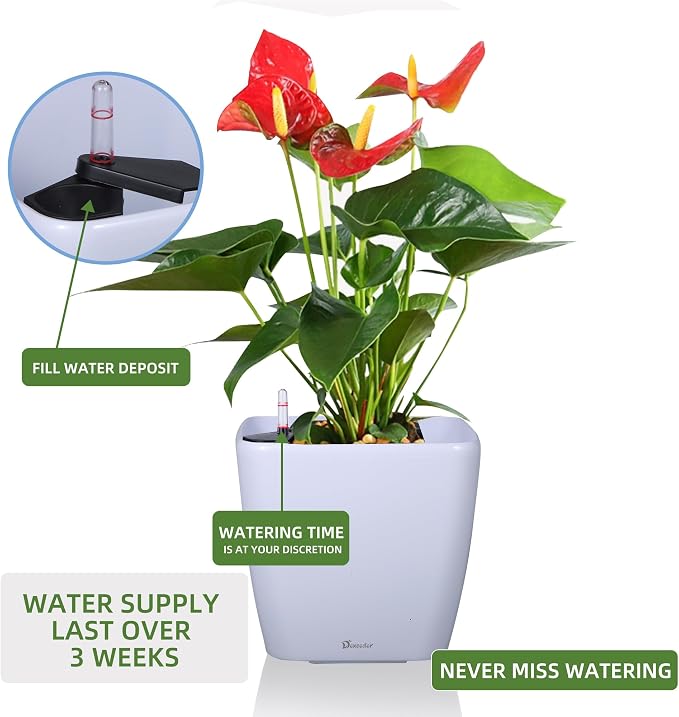 Dexceder 11x10 Self Watering Planter (White High Gloss) | Inner Mat Design, Thickened Table Flower Plant Pot with Water Level Indicator Indoor Outdoor