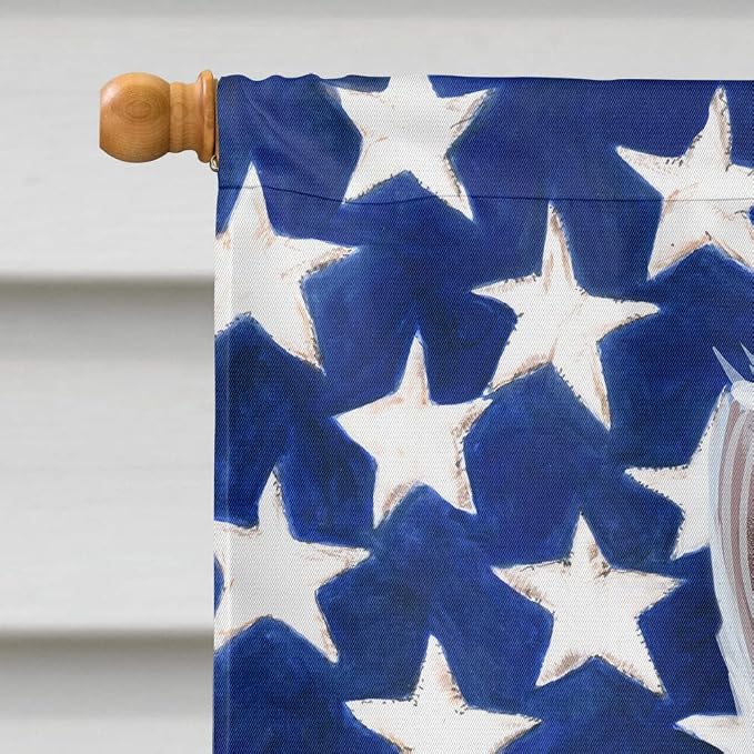 Caroline's Treasures CK6593CHF Kishu Ken American Flag House Flag Large Porch Sleeve Pole Decorative Outside Yard Banner Artwork Wall Hanging, Polyester, House Size, Multicolor