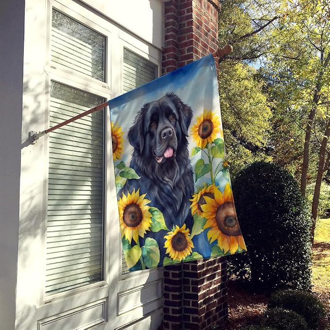 Caroline's Treasures DAC6123CHF Newfoundland in Sunflowers House Flag Large Porch Sleeve Pole Decorative Outside Yard Banner Artwork Wall Hanging, Polyester, House Size, Multicolor