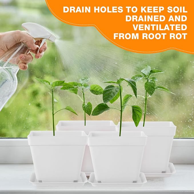 Amyhill 100 Pcs 4 Inch Flower Pots Square Plants Nursery Pot Plastic Plant Seedling Pots Small Nursery Transplanting Planter Container with Saucer for Indoor Succulent Balcony Garden (White)