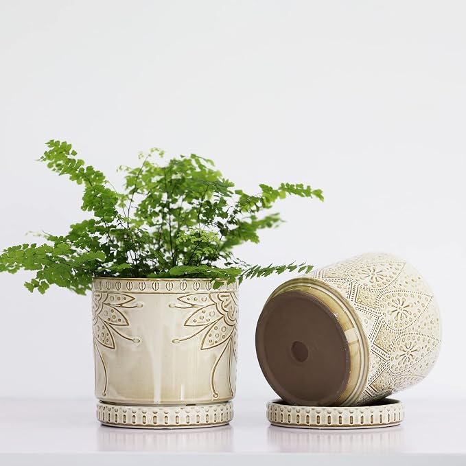 6 Inch Indoor Plant Pots with Drainage Holes and Saucers, Ceramic Planter for Plants, Flower Pot - Set of 2