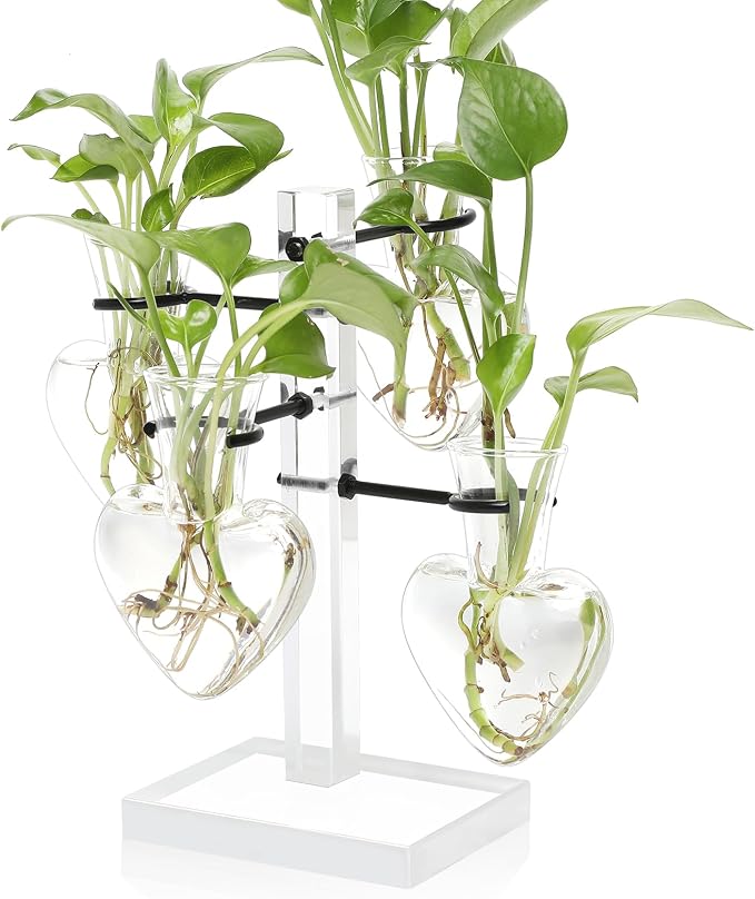 Plants Propagation Stations Plant Terrarium Kit Gift for Women | Birthday Glass Planters For Indoor Plants Home Office Decor Acrylic Plant Accessories - 4 Love Hear Vase