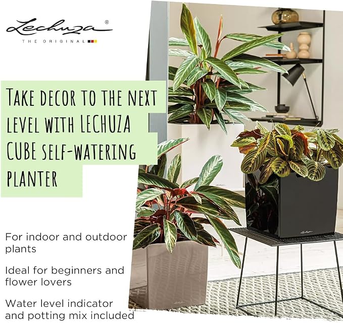Lechuza Cube 50 Premium Charcoal Metallic, Self-Watering Square Planter, H19.3 L19.3 W19.3 in