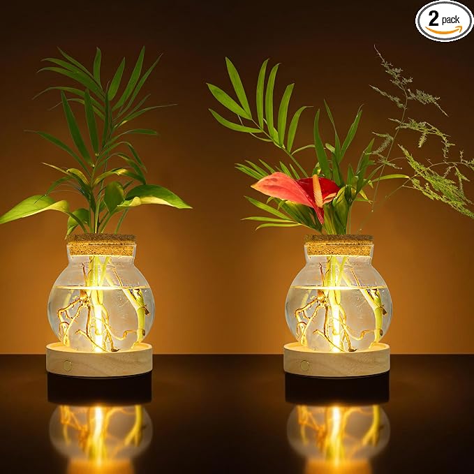 Plant Propagation Station with Wooden Saucer, Glass Terrarium with Stepless Dimming Function Hydroponic Glass Container Vase Jars Gardening Gifts for Mom Women Plant Lovers(2 Pack)