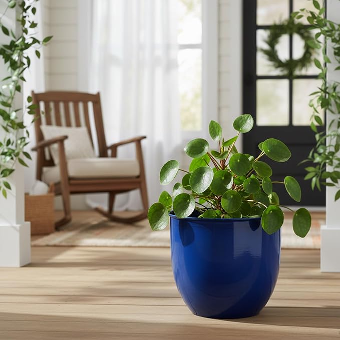 Bloem Canyon 12" Indoor Metal Cachepot - Glossy Decorative Planter with Powder-Coated Finish, Removable Drain Plug, Cobalt