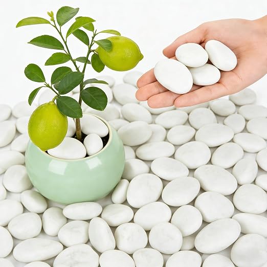 1-2 Inch White River Rocks, 12LB Polished Natural Decorative Pebbles for Indoor Plants, Planters, Vase Fillers, Fish Tank Rocks, Aquarium Decor, Garden Landscaping & Outdoor DIY