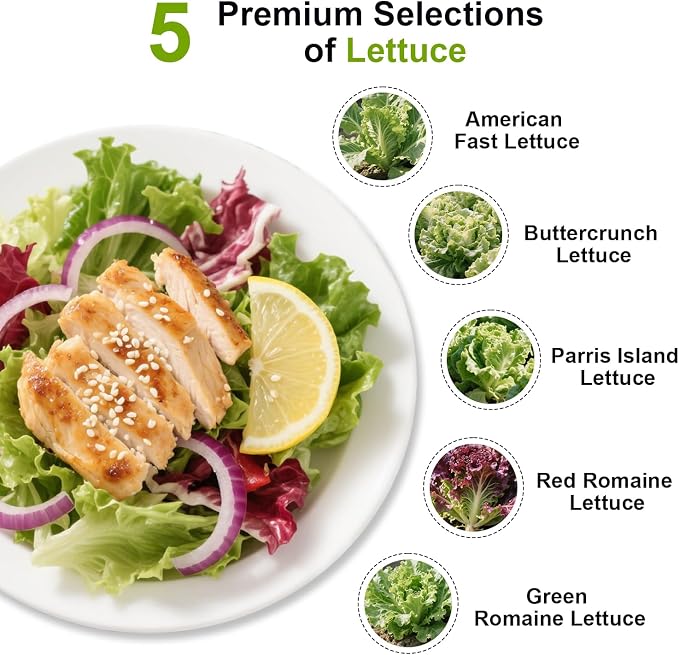Green Goddess Salad Seed Pod Kit for AeroGarden, idoo, Ahopegarden, MUFGA with Red Romaine/Green Romaine/American Fast/Parris Island/Buttercrunch Lettuce - Compatible with All Garden(7-Pod)