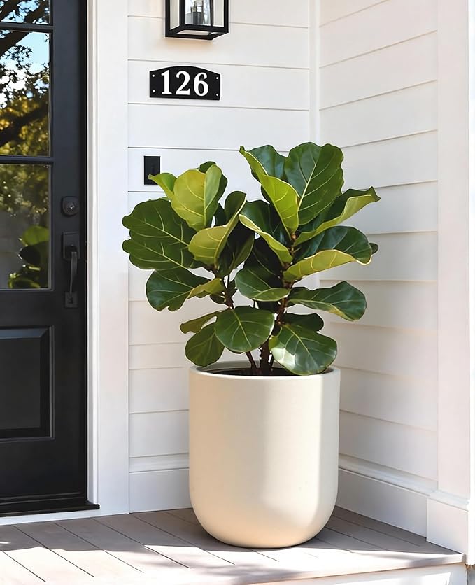 homenote Flower Pots 13 Inch,Large Plant Pots Indoor with Drainage,Plastic Pots for Plants,Garden Pots for Outdoor,Large Planters for Indoor Plants,Big Plastic Planter,White