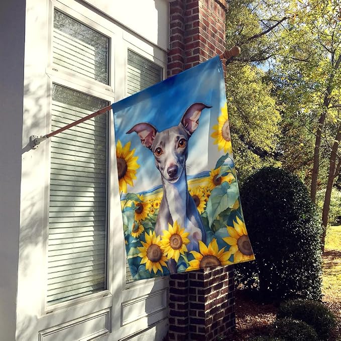 Caroline's Treasures DAC6101CHF Italian Greyhound in Sunflowers House Flag Large Porch Sleeve Pole Decorative Outside Yard Banner Artwork Wall Hanging, Polyester, House Size, Multicolor