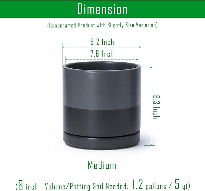 D'vine Dev 8 Inch Ceramic Planter Pot with Drainage Hole and Saucer, Indoor Cylinder Round Planter Pot, Slate, 94-O-D-5