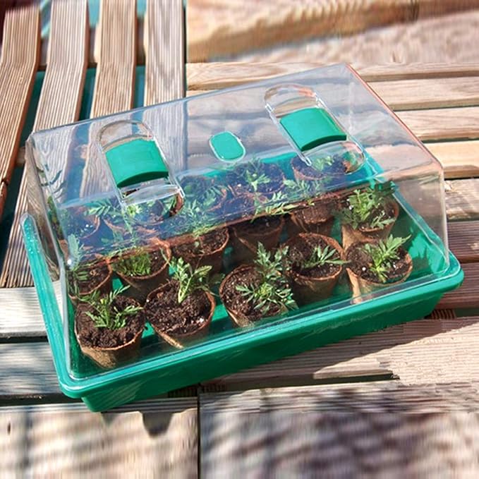 LeJoy Garden Reusable Propagator Tray Vented Dome for Seedlings & Clones | Thickened Clear Plastic, Large 15in×7.1in Space, Sturdy Germination Station For Herbs, Flowers, Indoor Mini Greenhouse