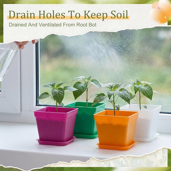 Amyhill 100 Pcs 4 Inch Flower Pots Square Plants Nursery Pot Plastic Plant Seedling Pots Small Nursery Transplanting Planter Container with Saucer for Indoor Succulent Balcony Garden (Fashion Color)