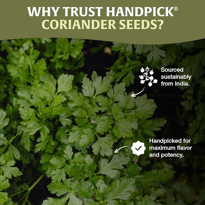 HANDPICK Whole Coriander Seed (283g/10oz) Premium Grade | Pure & Flavorful Coriander Seeds - Indian Origin | Non GMO, Gluten Free | Perfect for Cooking & Seasoning | Resealable (Packaging may vary)