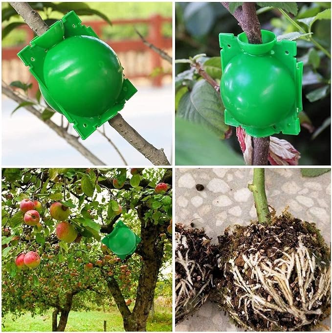 9PCS Propagation Stations Air Layering Pods, Reusable Rapid Root Plugs Air Layering Propagation Kit Grafting Tool Take Root Box Plant Propagation Ball Root Starter Grafting Kit