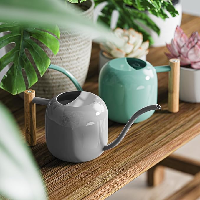 Green Moon 1.2L/41oz Metal Metal Watering Can with Long Spout, Gray | Metal Stainless Steel Watering Can for Indoor Plants, House Bonsai, Succulents, and Garden Flowers, Decorative Watering Cans