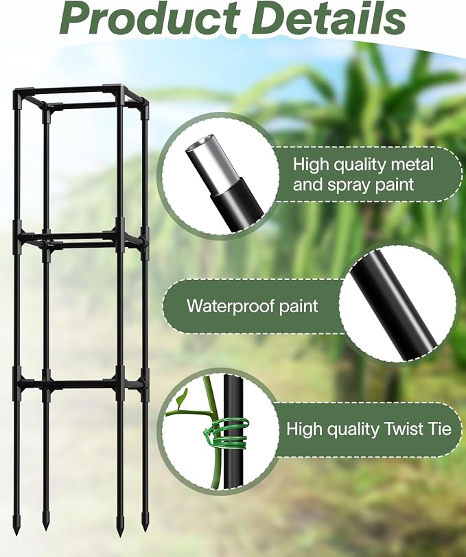 2PCS Dragon Fruit Trellis for Climbing Plants Indoor Outdoor, Heavy Duty Metal Adjustable Vertical Garden Support for Indoor Outdoor Potted Plants, Tomato, Cactus, Roses,Vines(10 * 10 * 47inch,2PC)