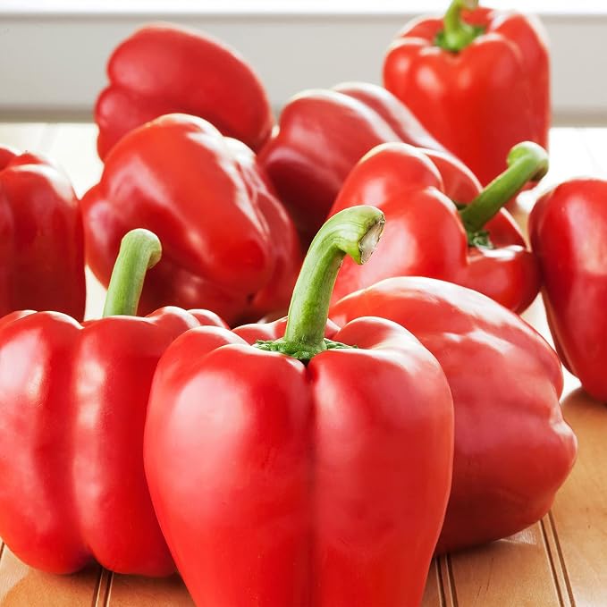 Bonnie Plants Red Bell Pepper Live Vegetable Plants - 4 Pack, Non-GMO, 2 - 3 Ft Plants, 4.5 x 4 Inch Pepper Size