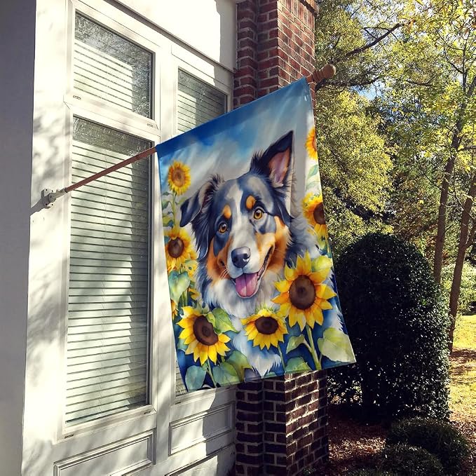 Caroline's Treasures DAC6014CHF Australian Shepherd in Sunflowers House Flag Large Porch Sleeve Pole Decorative Outside Yard Banner Artwork Wall Hanging, Polyester, House Size, Multicolor