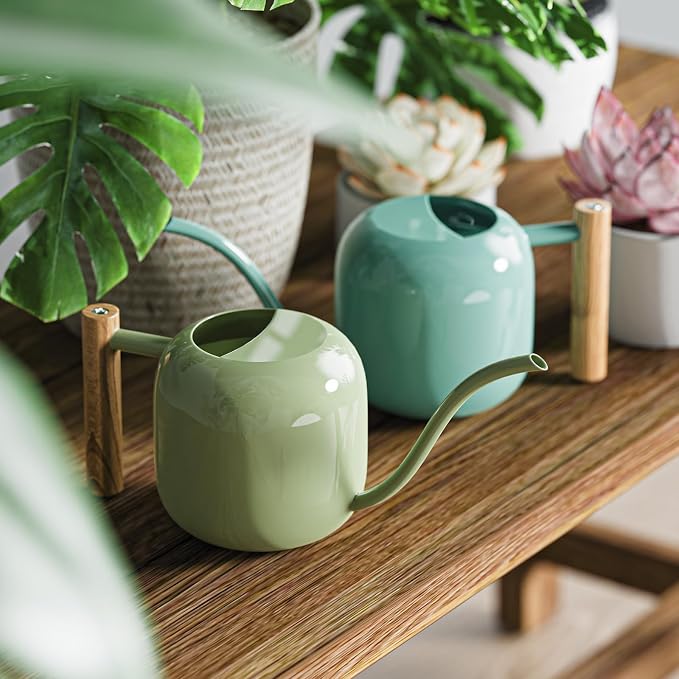 Green Moon 1.2L/41oz Metal Metal Watering Can with Long Spout, Mint Green | Metal Stainless Steel Watering Can for Indoor Plants, House Bonsai, Succulents, and Garden Flowers, Decorative Watering Cans