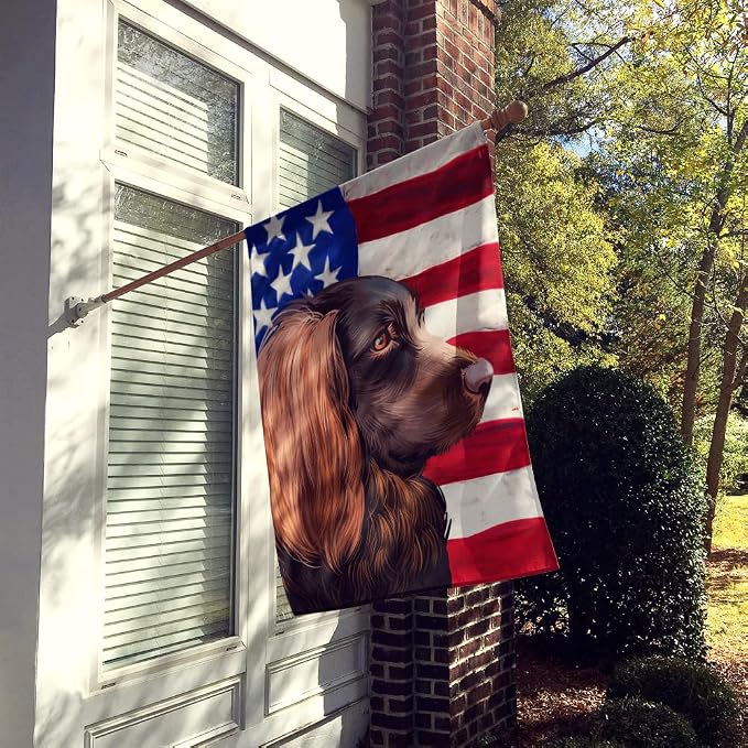 Caroline's Treasures CK6455CHF Boykin Spaniel Dog American Flag House Flag Large Porch Sleeve Pole Decorative Outside Yard Banner Artwork Wall Hanging, Polyester, House Size, Multicolor
