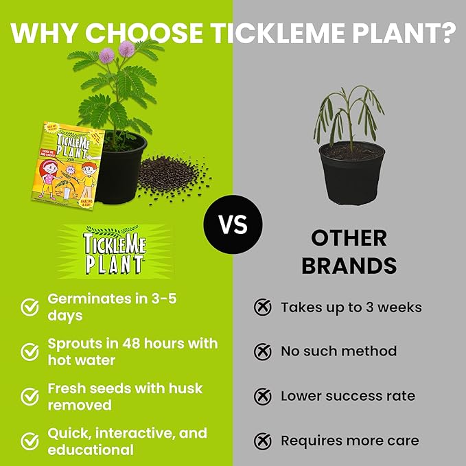 TickleMe Plant Seeds (2-Pack) – Touch-Sensitive Plant that Closes Leaves When Touched – Easy Indoor House Plant Seeds – Fun Educational Activity for Kids & Adults