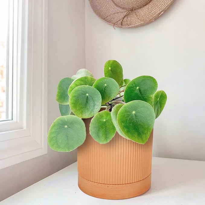 HERDUK Small Modern Terracotta Pots, 4.2 Inch Ribbed Textured Clay Planter Pots with Drainage Hole & Saucer, Garden Pots for Indoor Plants Succulent, Cacti & Fern, Set of 2