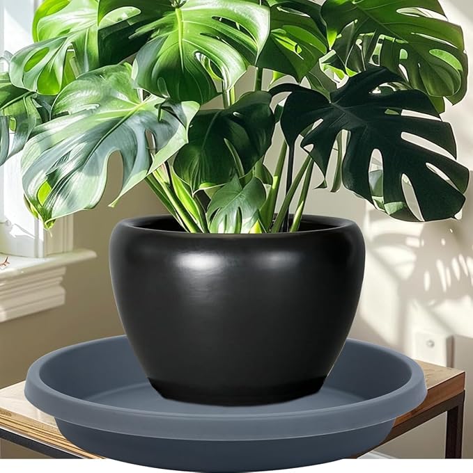 NIMYAU 5 Pack Plant Saucer 6 Inch,8 10 12 14 16 18 20 Inch, Heavy Sturdy Plant Trays for Pots, Plant Water Catcher Tray for Plants, Plastic Plant Saucers for Indoors no Holes