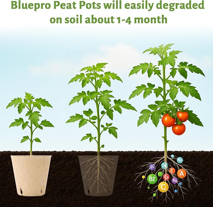Bluepro 120 Packs 3.15 Inch Peat Pots, Biodegradable Pots for Seedlings with Drainage Holes, Herb Seed Starter