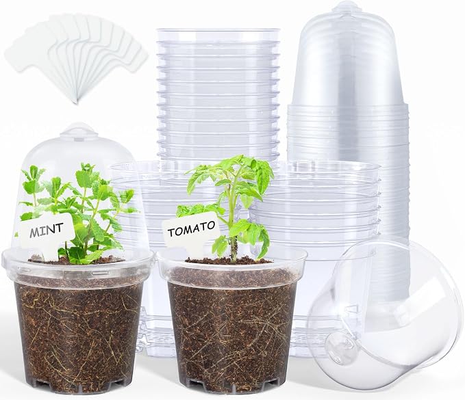 homenote Clear Nursery Pots for Plants,4 Inch Plant Pot for Planting with Humidity Domes Plastic Seedling with Drainage Holes Seed Starter Flower High Transparency (30 Pack)