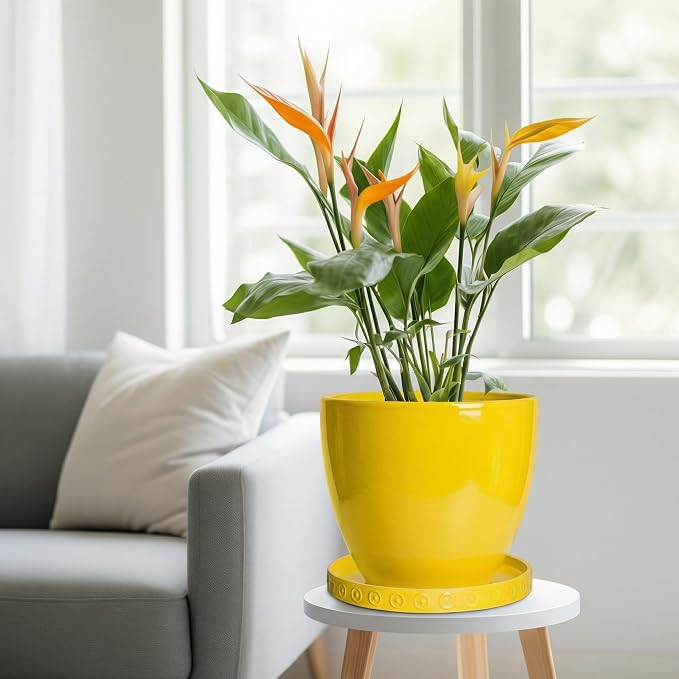 Eightpot Plant Saucers for Indoors, 9.3 Inch Plant Pot Saucers, Plant Drip Trays for Indoor Outdoors, Round Plants Plates to Catch Water, Boho Decorative Plants Dishes to Catch Water, Yellow