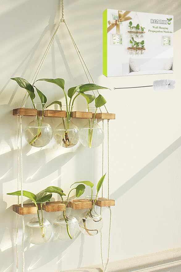 Renmxj Plant Propagation Station Wall Hanging with 2 Tiered Wooden Stand | Plant Terrarium for Hydroponics Plants, Unique Gardening Gifts for Women Mom Plants Lovers - 6 Bulb Glass Vases