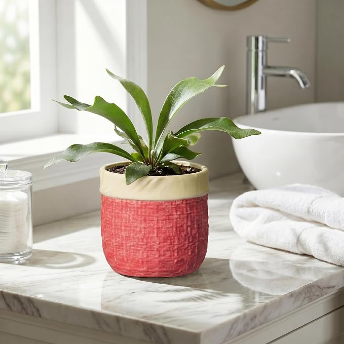 6 Inch Pots for Plants, Ceramic Planter, Round Flower Pots, Red | Boho Planter with Drainage Hole, Decorative Plant Pot for Indoor Plants, Office Desk Decor, Gardening Gifts for Women