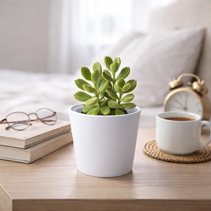 Phoenix Vine 4.5 Inch White Plastic Cachepot with Clear Nursery Pot, Decorative Lightweight Planter Cover with Transparent Inner Pot for Indoor Houseplants, Pack of 2, 24-B-D-2